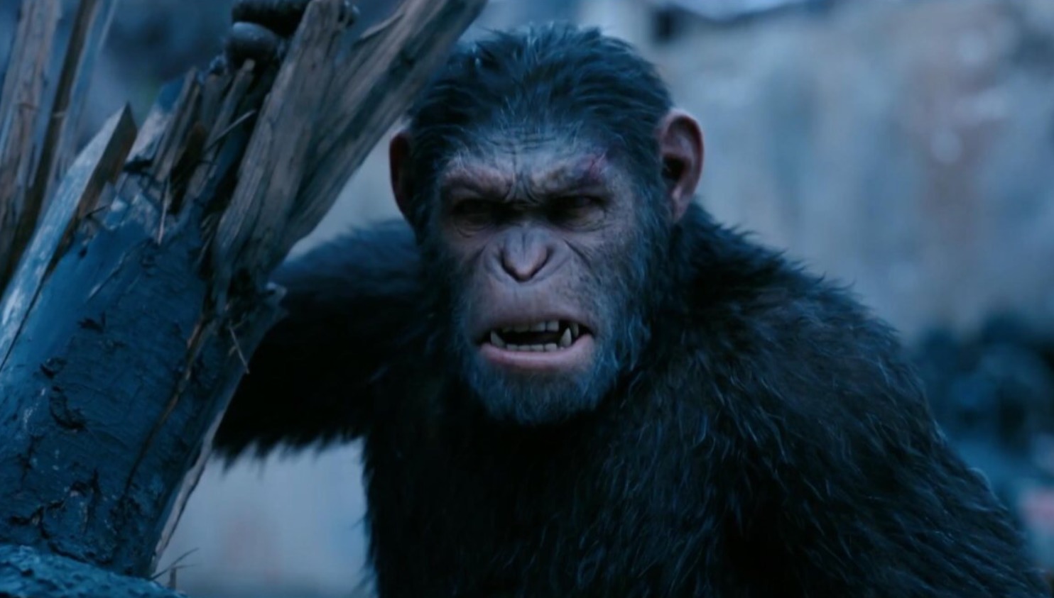 Caesar (Andy Serkis) in War for the Planet of the Apes